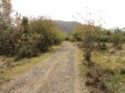 1 acre of land in BELLE-HALL/COTTON HILL