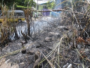 22 bush fires reported for April in Roseau