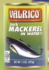 “Officer I so shame I cannot say anything”- Valrico thief tells police