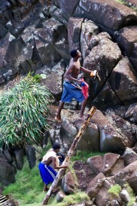 PHOTO OF THE DAY: The rock climbers