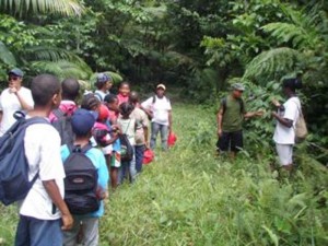 Students of Coulibistrie Primary School hike section of Waitukubuli Nature Trail