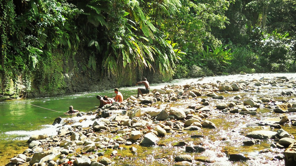 PHOTO OF THE DAY: Lazy day by the river - Dominica News Online