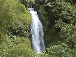 The Trafalgar Falls in Dominica