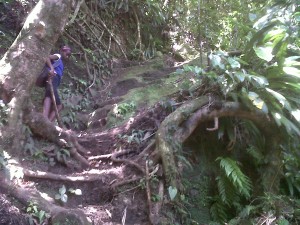 PCSS Adventure Club tackles Waitukubuli National Trail
