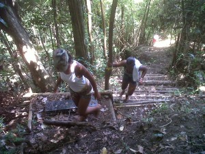 Implementation of Waitukubuli Nature Trail in high gear
