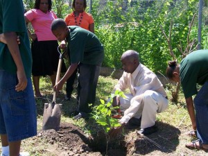 Dominica to celebrate Earth Day