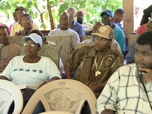 Farmers in Dominica urged to diversify into pineapple production