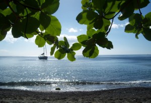 PHOTO OF THE DAY: Tranquil Dominican beach
