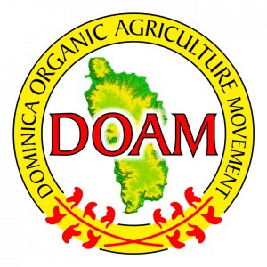 DOAM hosts workshops on Soil Management for Organic Farming