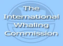 Three Caribbean countries walked out of IWC; Dominica sent no representative