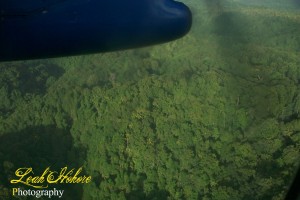 PHOTO OF THE DAY: View of Dominica’s rainforest from a plane