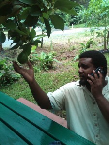 PHOTO OF THE DAY: In Dominica a fresh fruit is only a reach away