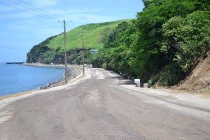 Tarreau section of West Coast Road Project at advanced stage