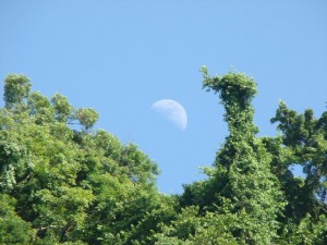 PHOTO OF THE DAY: Moonrise over Elmshall