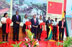 DSC component of State House Project launched