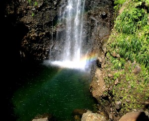 PHOTO OF THE DAY: The waterfall and the rainbow