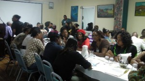 Dominica Youth Environment Organisation Inc. coordinates think tank forum