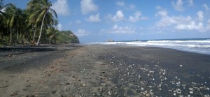 PHOTO OF THE DAY: Black sand beach