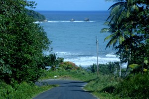 PHOTO OF THE DAY: Pagua Bay from Antrizle main road