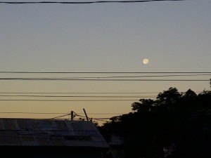 PHOTO OF THE DAY: Dawn with the moon