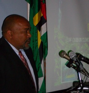 Dominica intends to eliminate importation of petroleum products