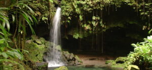 $8000 grant available for climate justice storytelling by CARICOM nationals (link inside)