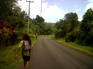 PHOTO OF THE DAY: Surrounded by ‘green’