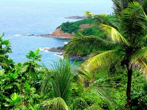 PHOTO OF THE DAY: Rugged east coast