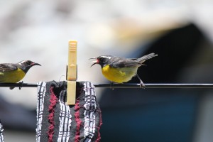 PHOTO OF THE DAY: No, it is mine