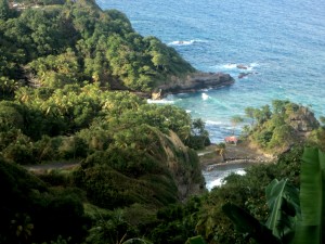 PHOTO OF THE DAY: Rugged nature