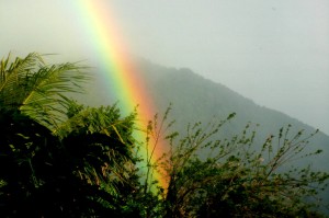 PHOTO OF THE DAY: End of the rainbow