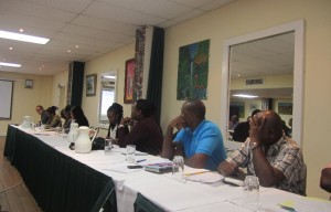 Stagnating CSME subject of Roseau meeting
