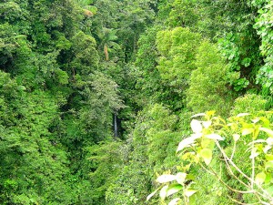 PHOTO OF THE DAY: Hidden waterfall