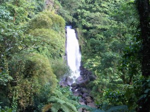 PHOTO OF THE DAY: Majestic Trafalgar Falls