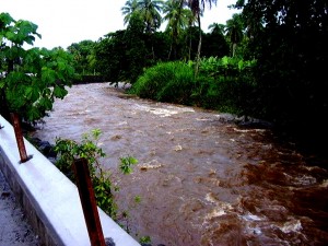 PHOTO OF THE DAY: A river runs through it