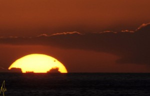 PHOTO OF THE DAY: Transit of Venus seen from Pointe Michel