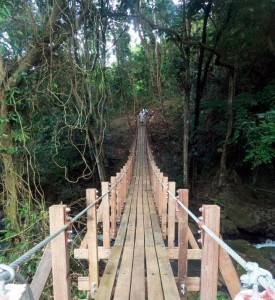 PHOTO OF THE DAY: Across the bridge