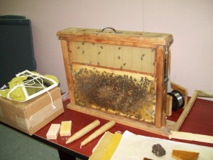 Bee keepers bounce back