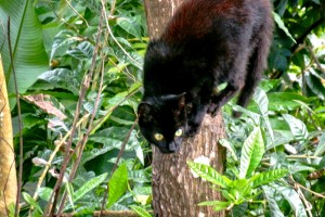 PHOTO OF THE DAY: I am watching you