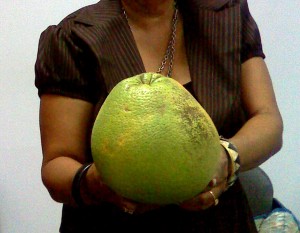PHOTO OF THE DAY: Record-breaking grapefruit