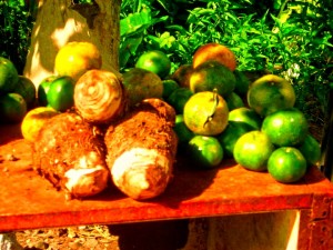 Dominica tackles fruit import restrictions
