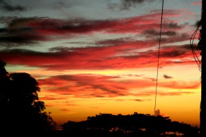 PHOTO OF THE DAY: The colors of sunset