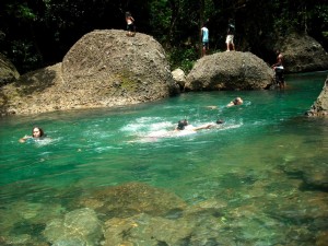 PHOTO OF THE DAY: A refreshing dip
