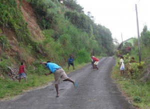 PHOTO OF THE DAY: Cricket on the road