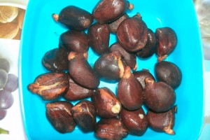PHOTO OF THE DAY: Exotic treat
