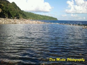 PHOTO OF THE DAY: How about a dive in?