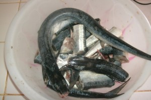 PHOTO OF THE DAY: Fresh ‘zorfee’ ready for the pot