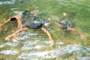 PHOTO OF THE DAY: Enjoying the cool waters of Dominica