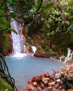 PHOTO OF THE DAY: Hot bath anyone?