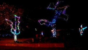 PHOTO OF THE DAY: Peebles Park at night